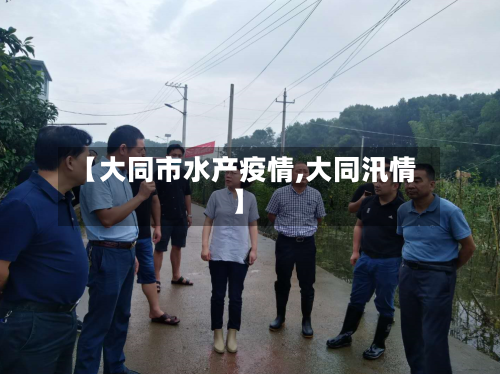 【大同市水产疫情,大同汛情】-第2张图片