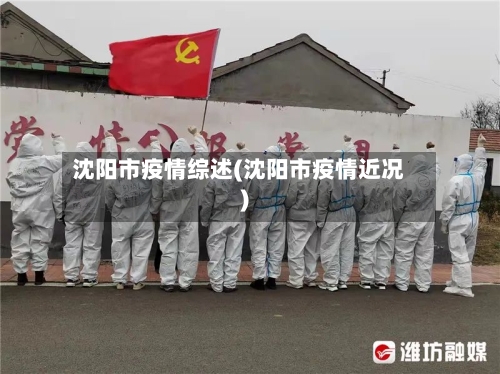 沈阳市疫情综述(沈阳市疫情近况)