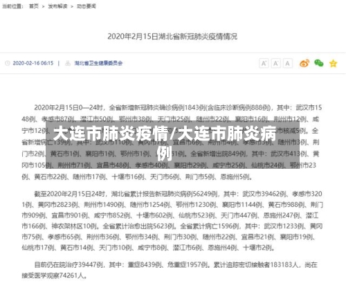 大连市肺炎疫情/大连市肺炎病例