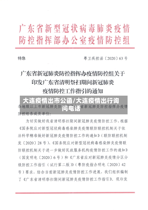 大连疫情出市公函/大连疫情出行询问电话-第3张图片