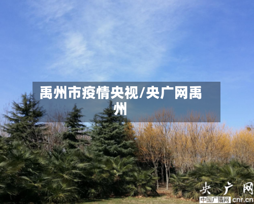 禹州市疫情央视/央广网禹州-第3张图片