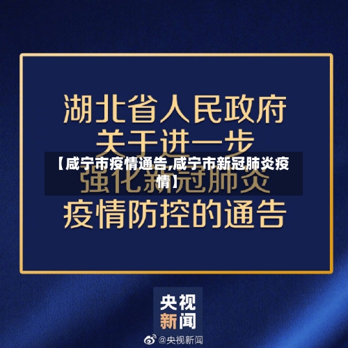 【咸宁市疫情通告,咸宁市新冠肺炎疫情】-第2张图片