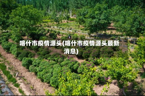 喀什市疫情源头(喀什市疫情源头最新消息)