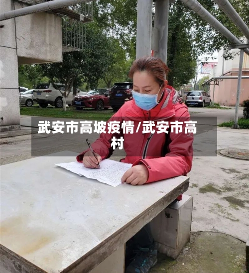 武安市高坡疫情/武安市高村
