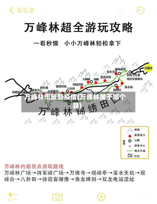 万峰林市最新疫情(万峰林属于哪个县)