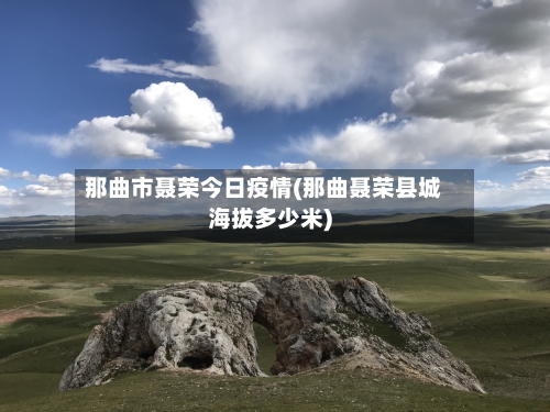 那曲市聂荣今日疫情(那曲聂荣县城海拔多少米)-第2张图片