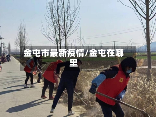 金屯市最新疫情/金屯在哪里