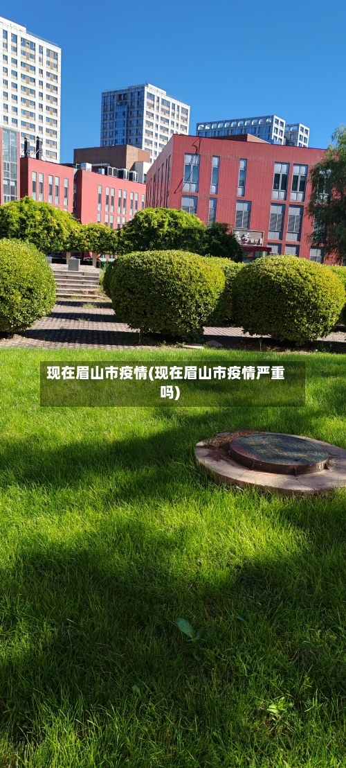 现在眉山市疫情(现在眉山市疫情严重吗)-第2张图片
