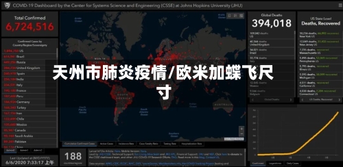 天州市肺炎疫情/欧米加蝶飞尺寸