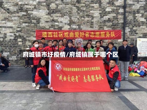 府城镇市圩疫情/府城镇属于哪个区