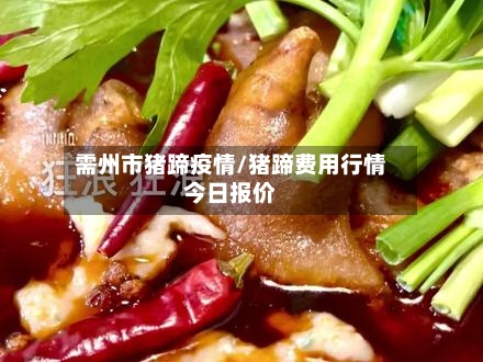 需州市猪蹄疫情/猪蹄费用行情今日报价