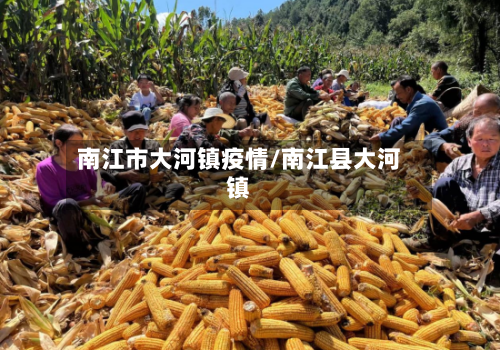 南江市大河镇疫情/南江县大河镇