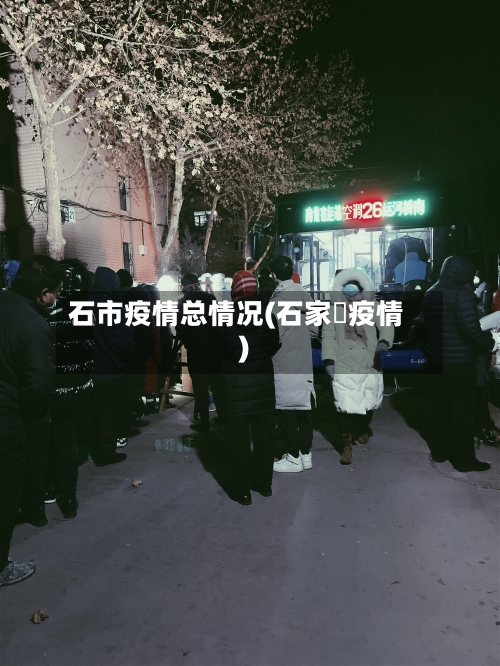 石市疫情总情况(石家庒疫情)