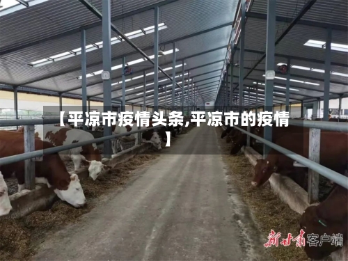 【平凉市疫情头条,平凉市的疫情】-第2张图片