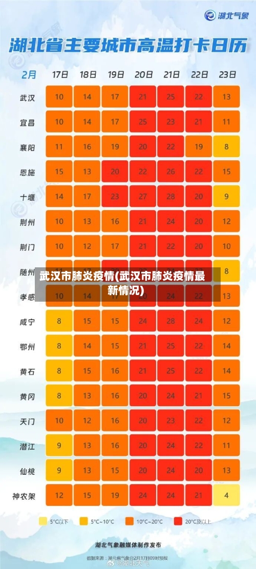 武汉市肺炎疫情(武汉市肺炎疫情最新情况)