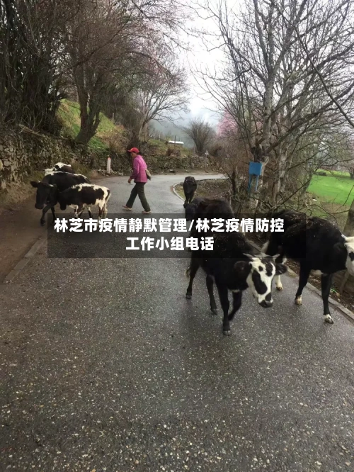 林芝市疫情静默管理/林芝疫情防控工作小组电话-第2张图片