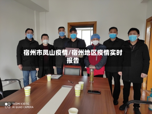 宿州市凤山疫情/宿州地区疫情实时报告-第3张图片