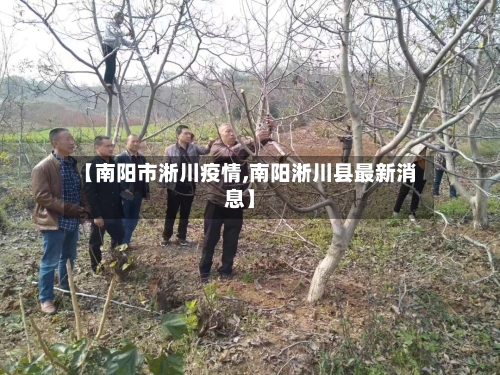 【南阳市淅川疫情,南阳淅川县最新消息】