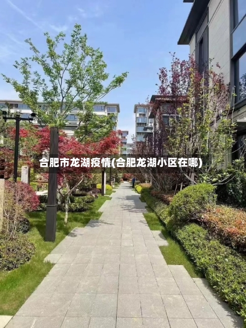 合肥市龙湖疫情(合肥龙湖小区在哪)-第2张图片