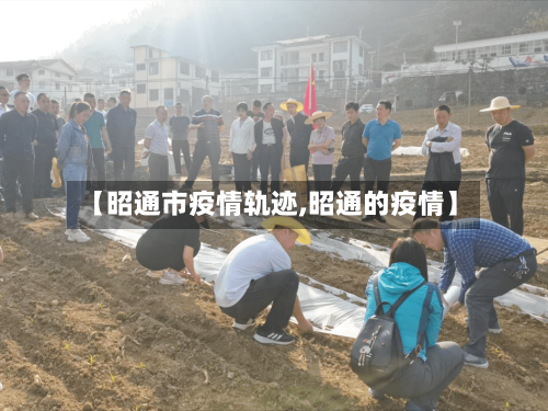 【昭通市疫情轨迹,昭通的疫情】-第2张图片