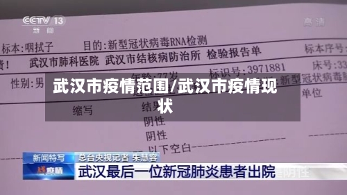 武汉市疫情范围/武汉市疫情现状