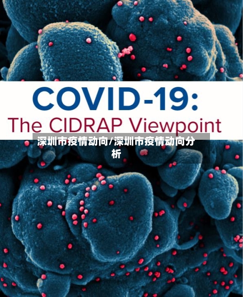 深圳市疫情动向/深圳市疫情动向分析