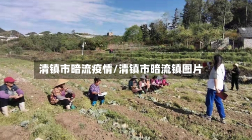 清镇市暗流疫情/清镇市暗流镇图片