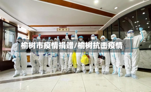 榆树市疫情捐赠/榆树抗击疫情