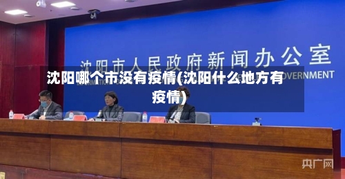 沈阳哪个市没有疫情(沈阳什么地方有疫情)