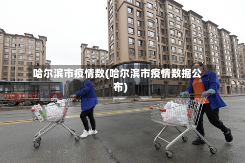 哈尔滨市疫情数(哈尔滨市疫情数据公布)