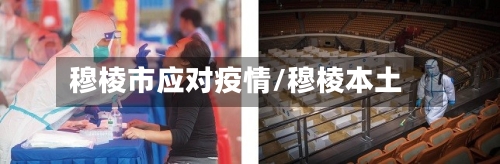 穆棱市应对疫情/穆棱本土
