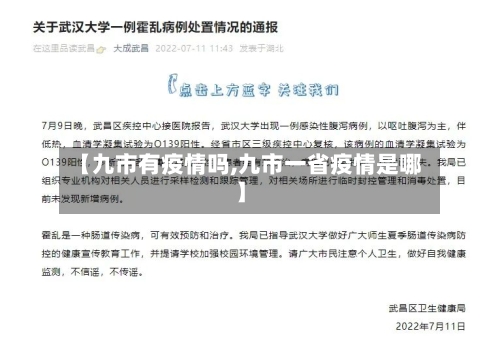【九市有疫情吗,九市一省疫情是哪】