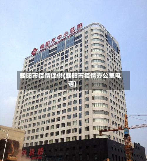 朝阳市疫情保供(朝阳市疫情办公室电话)