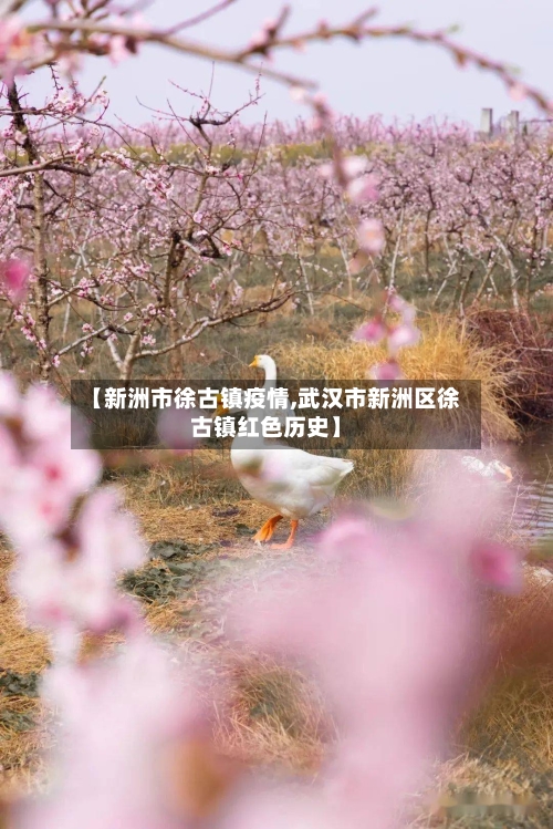 【新洲市徐古镇疫情,武汉市新洲区徐古镇红色历史】