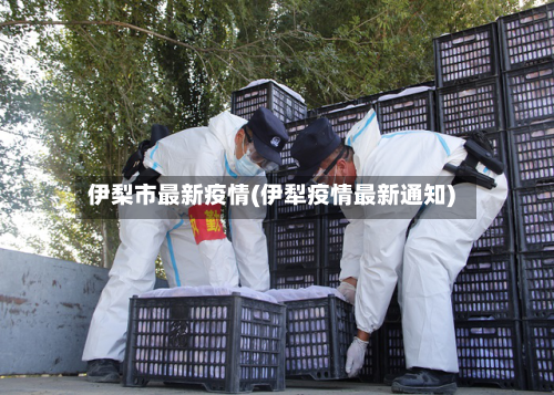 伊梨市最新疫情(伊犁疫情最新通知)