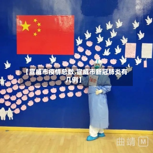 【宣威市疫情总数,宣威市新冠肺炎有几例】