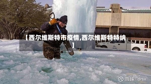 【西尔维斯特市疫情,西尔维斯特特纳】