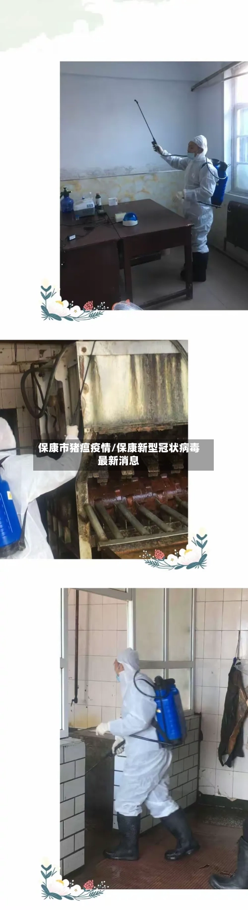 保康市猪瘟疫情/保康新型冠状病毒最新消息