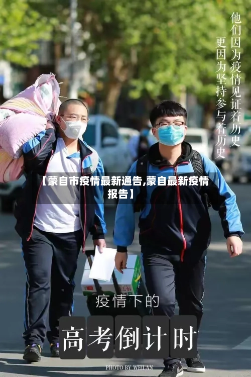 【蒙自市疫情最新通告,蒙自最新疫情报告】