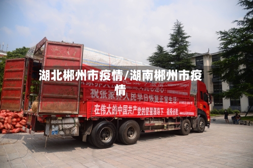 湖北郴州市疫情/湖南郴州市疫情-第3张图片